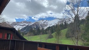 Une terrasse en bois offrant une vue sur des montagnes enneigées et une vallée verdoyante.