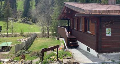 Chalet Bambi by Interhome