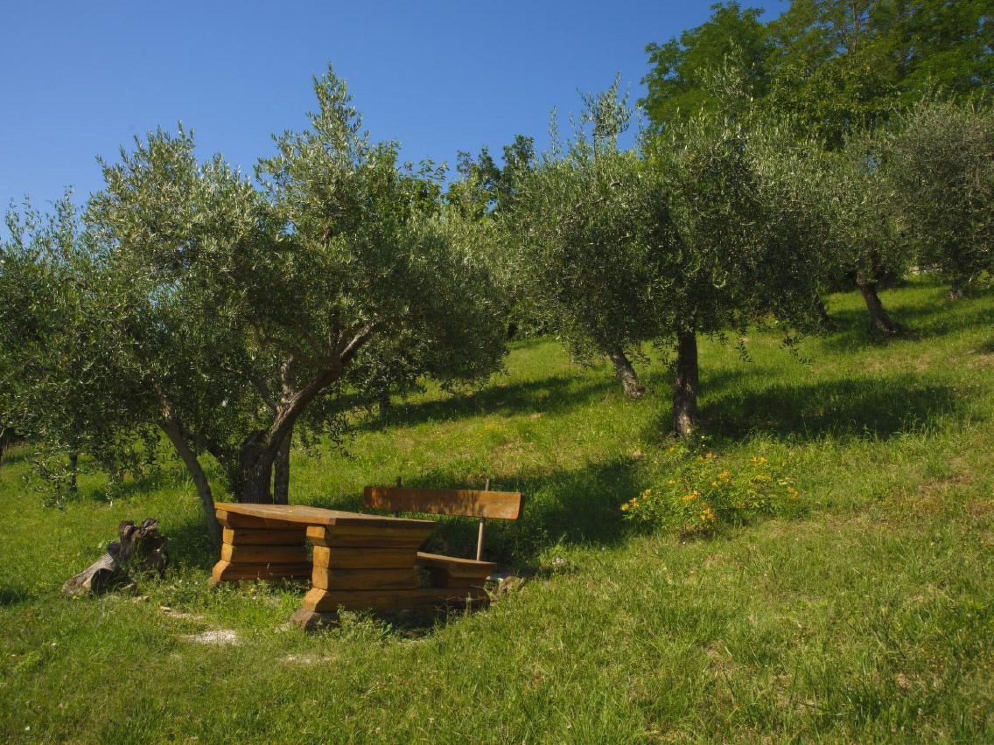 Overnattingsstedets uteområder