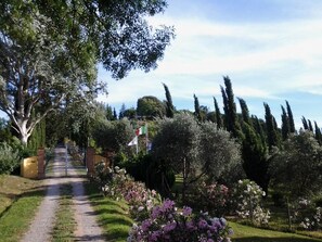 Property grounds - "Raffaello leccino by Interhome (Montaione)