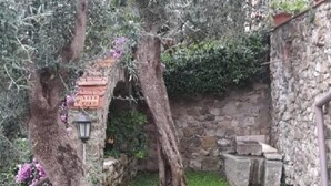 Property grounds - mit Wasserblick by Interhome (Castelnuovo Magra)