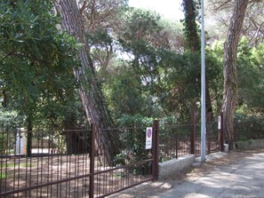 Property grounds - Palinuro von Holiday World by Interhome (Castagneto Carducci)