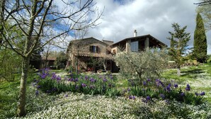 Unclassified image, 5 of 68, button - L'Ulivo by Interhome (San Venanzo)