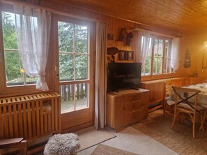 Kamin, DVD-Player