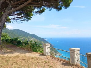 Property grounds - Villa Garibaldino by Interhome (Montedivalli)