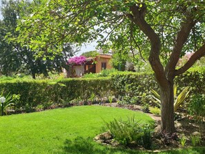 Property grounds - trilo Mulbery mit großem Garten by Interhome (Costa Rei)
