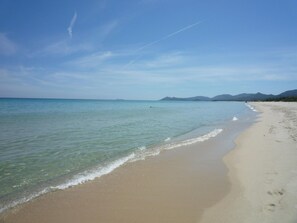 Strand