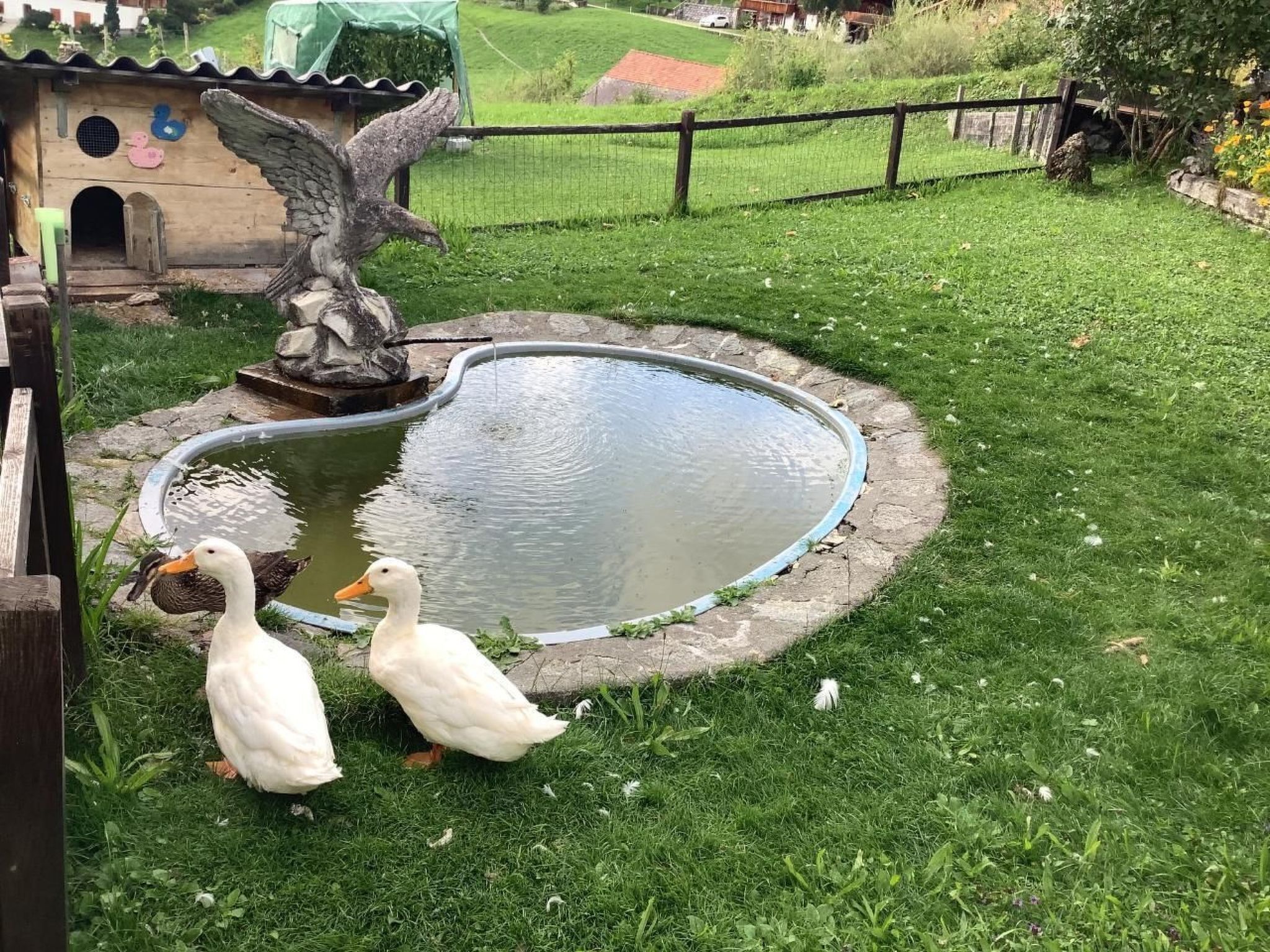 Parco della struttura