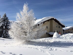 Exterior - Muntanella Och by Interhome (Sils Maria)