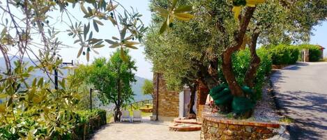 Áreas de la propiedad