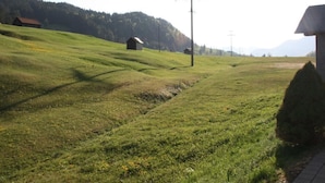 Ländliche Landschaft mit sanften grünen Hügeln, einem kleinen Haus und Strommasten.