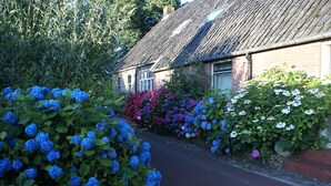 A narrow brick pathway flanked by lush hydrangea bushes and a traditional brick house with a sloped roof.