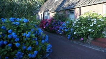 A narrow brick pathway flanked by lush hydrangea bushes and a traditional brick house with a sloped roof.