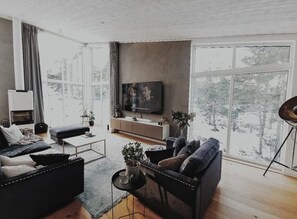 Smart-TV, Kamin, Videothek, Stereoanlage