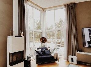 Smart TV, caminetto, videoteca, impianto stereo