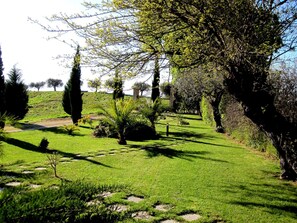 Property grounds - in Notaresco mit Grill und Garten by Interhome (Notaresco)