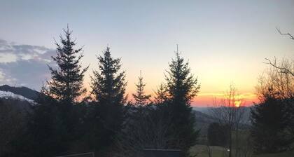 Soldanella by Interhome