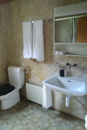 A bathroom with a toilet, sink, and towel rack.