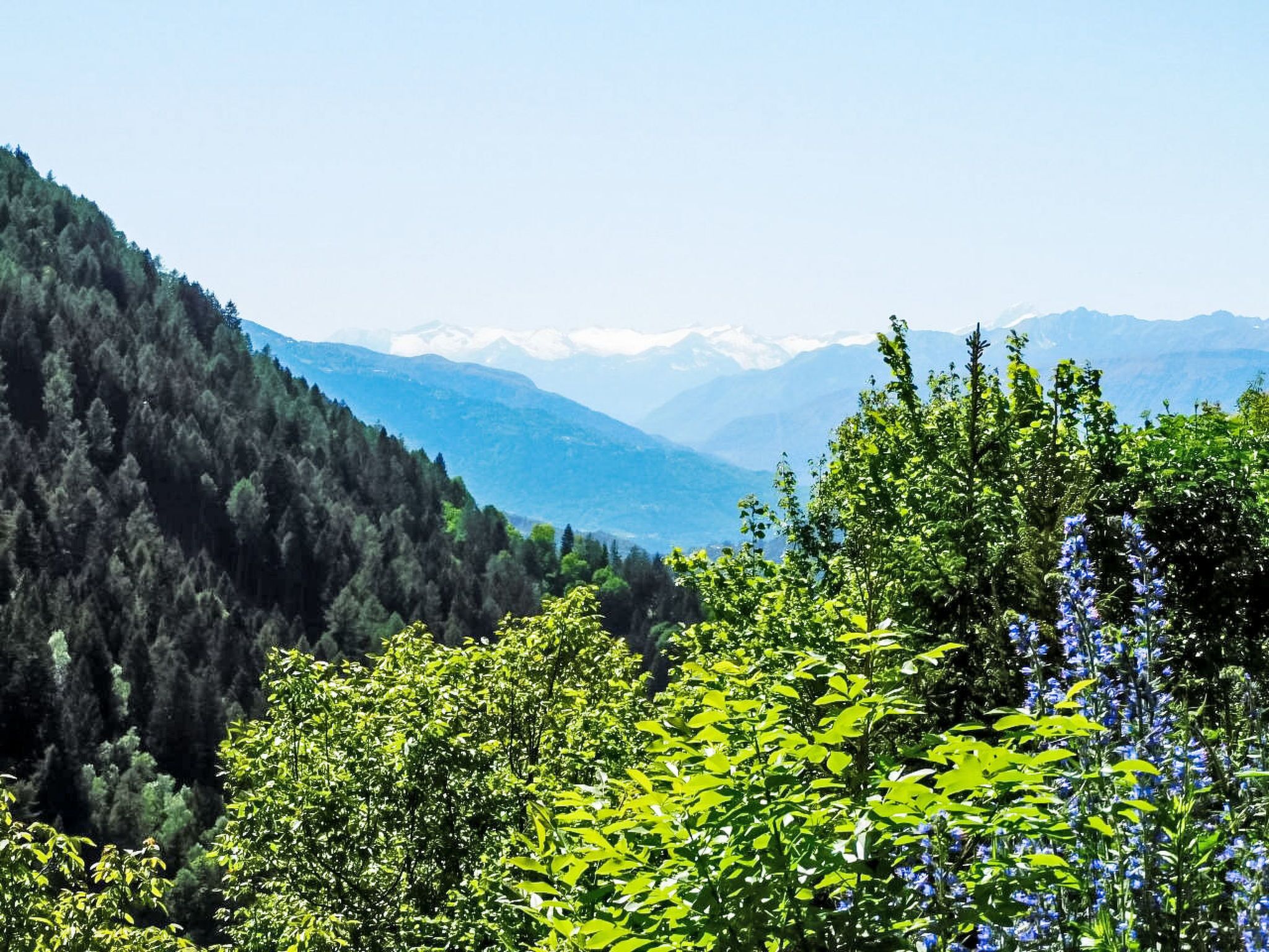 A mountainous landscape with dense forest and a valley.