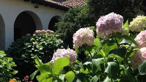 Unclassified image, 2 of 33, button - La Mimosa Franciacorta Lago d'iseo by Interhome (Provaglio d'Iseo)
