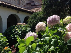 Property grounds - La Mimosa Franciacorta Lago d'iseo by Interhome (Provaglio d'Iseo)