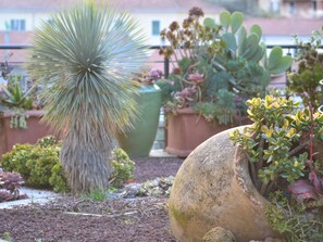 Property grounds - in Diano San Pietro by Interhome (Diano Castello)
