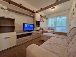 Fernseher