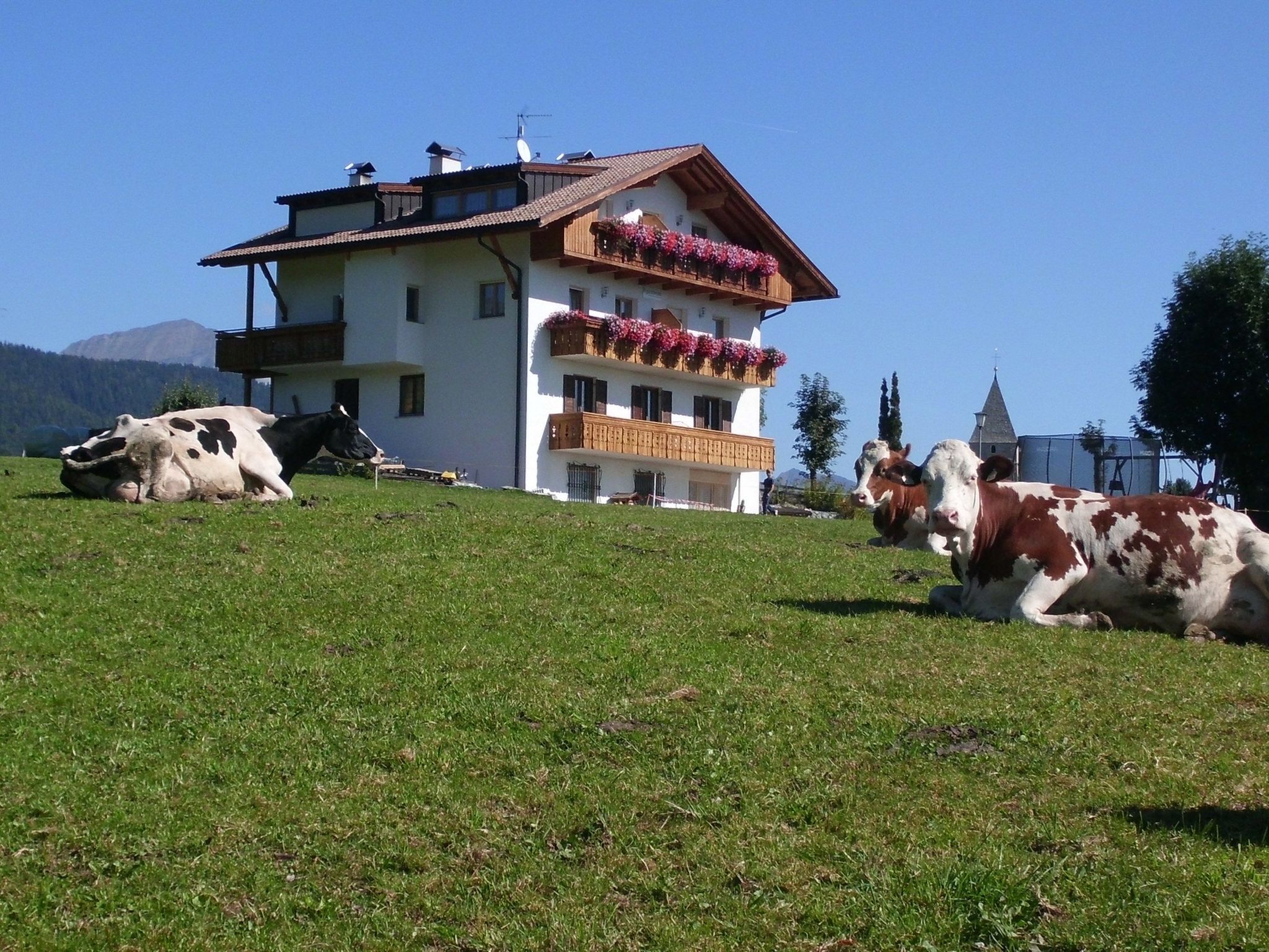 Esterni