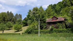 Uma casa de madeira rústica cercada por vegetação exuberante e árvores.