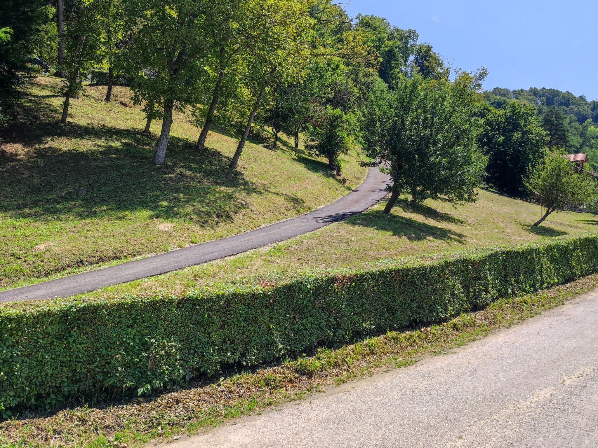 Una carretera serpenteante atraviesa una zona montañosa, con un seto a un lado.