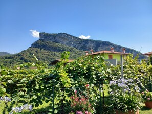 Property grounds - Casa Padronale nähe Arco by Interhome (Arco)