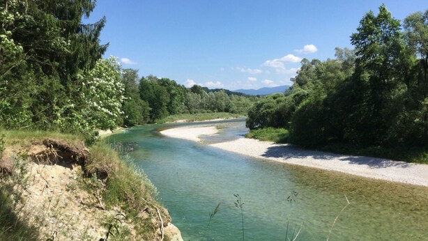 Un fiume dalle acque cristalline, circondato da una vegetazione lussureggiante e alberi.