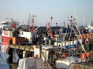 Marina - Poseidon by Interhome (Sassnitz)