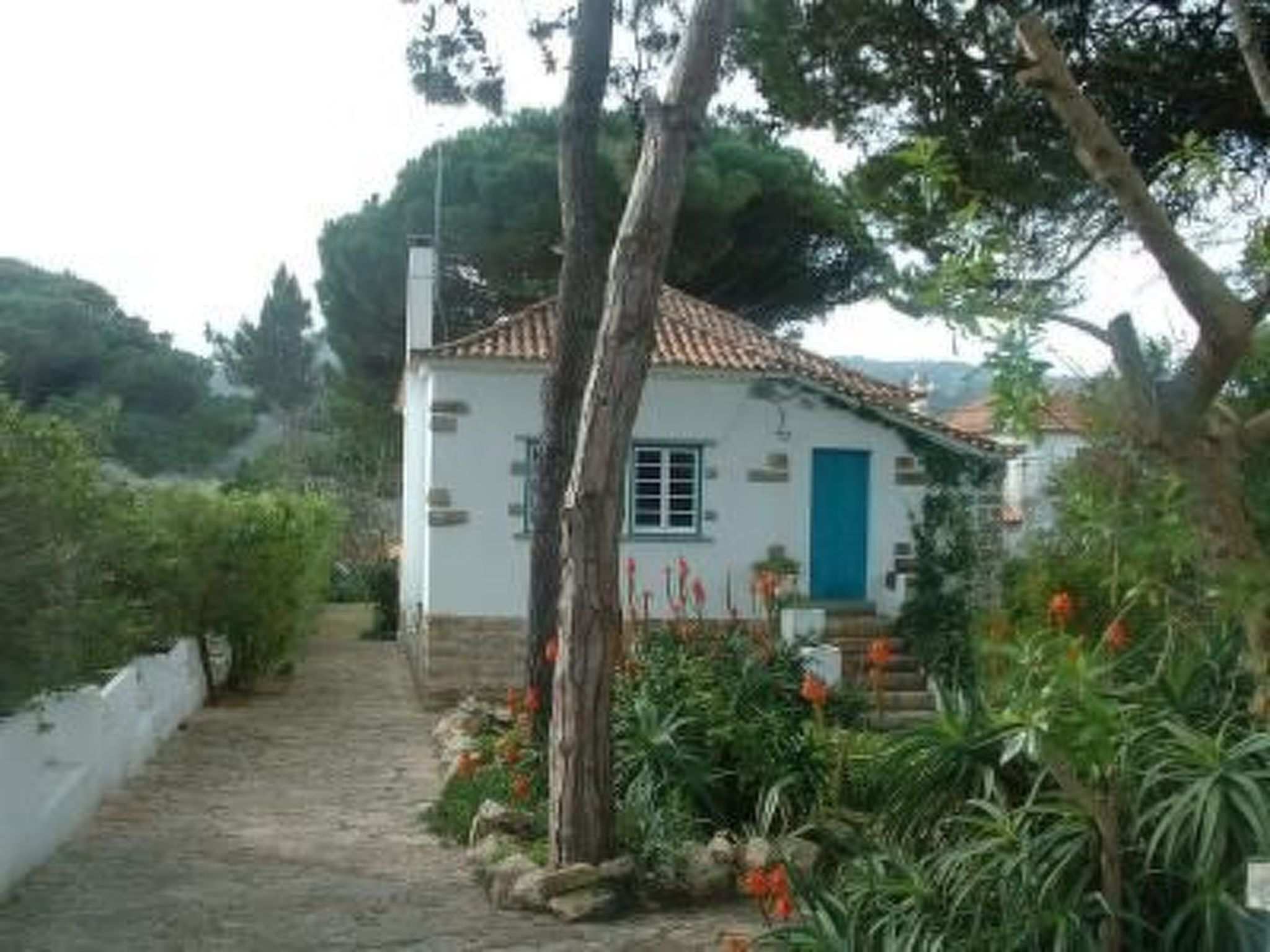 Área da propriedade