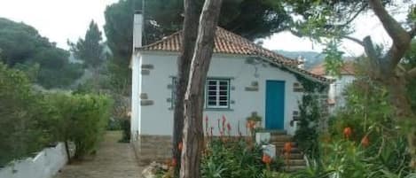 Área da propriedade