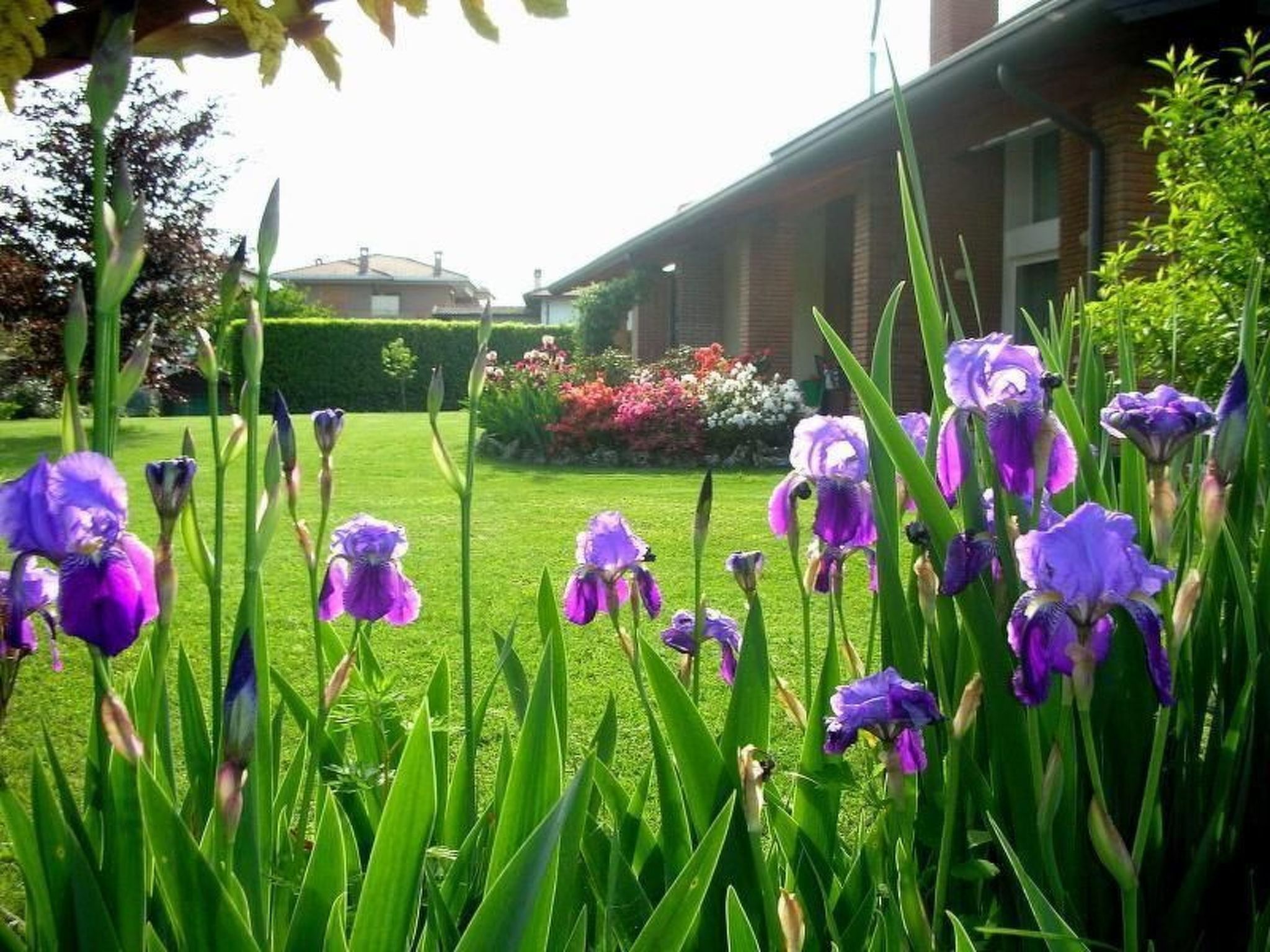 Parco della struttura