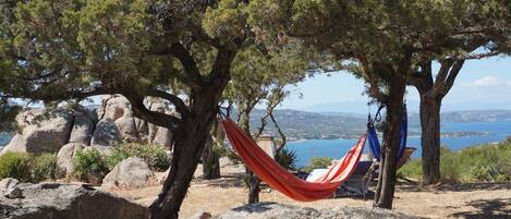 Terrain de l’hébergement