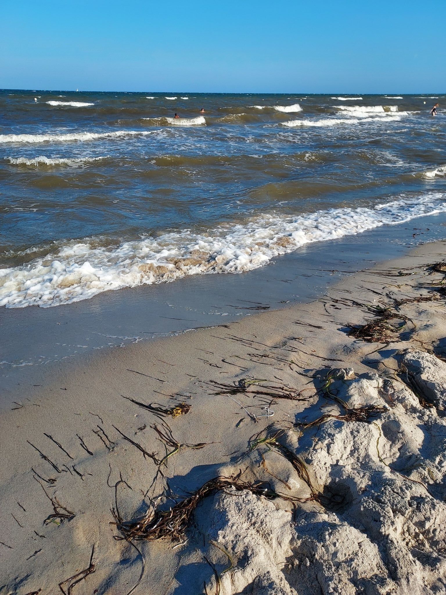 Une plage avec des vagues, des algues et un ciel dégagé.