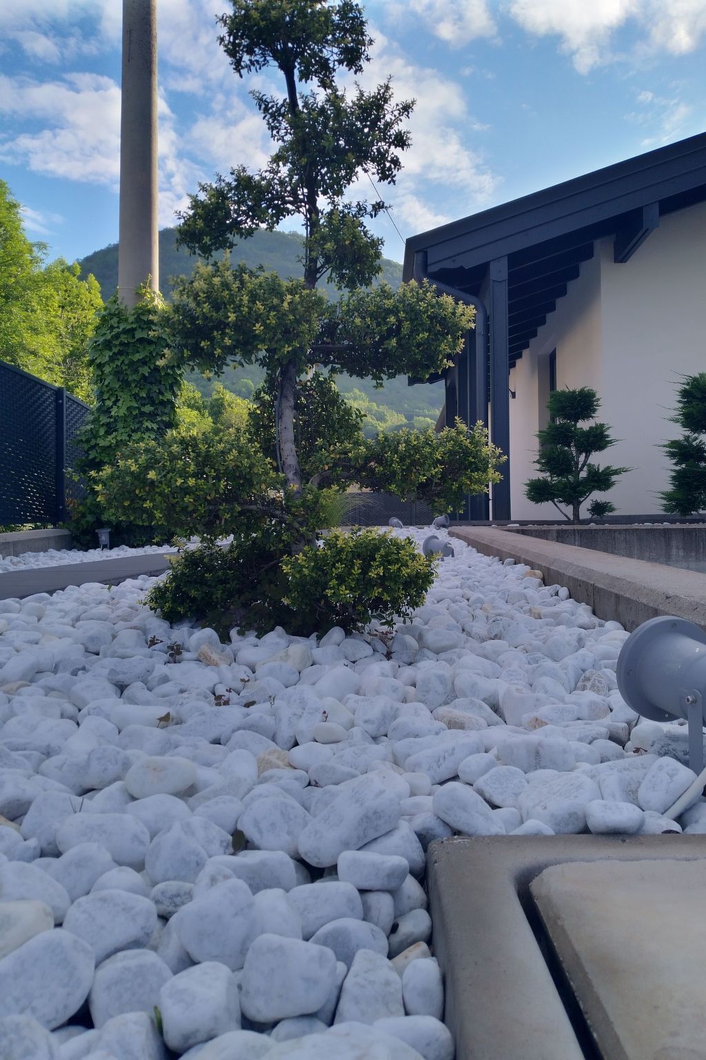 Parco della struttura