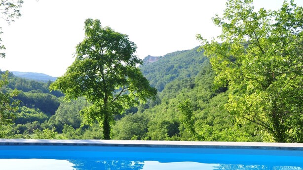 A swimming pool with a view of a forested hillside. - Istrien Traditionelles Steinhaus 7 by Interhome (Buzet)
