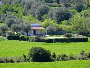 Exterior - Landhaus in Ostuni mit privatem Pool by Interhome (Ostuni)