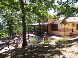 Esterni