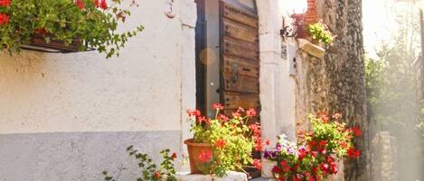 Détail de l’extérieur