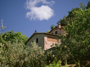 Exterior - Casale Il Cungi by Interhome (Sansepolcro)