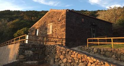 Rustikales Haus in Graciosa by Interhome