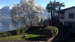 Un quartier résidentiel agrémenté d’un grand arbre en fleurs, avec vue sur un lac et des montagnes en arrière-plan.