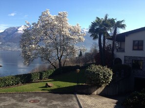 Property grounds - Residenza Viramonte - Casa Fiona, Wohnung 52 by Interhome (Vira)