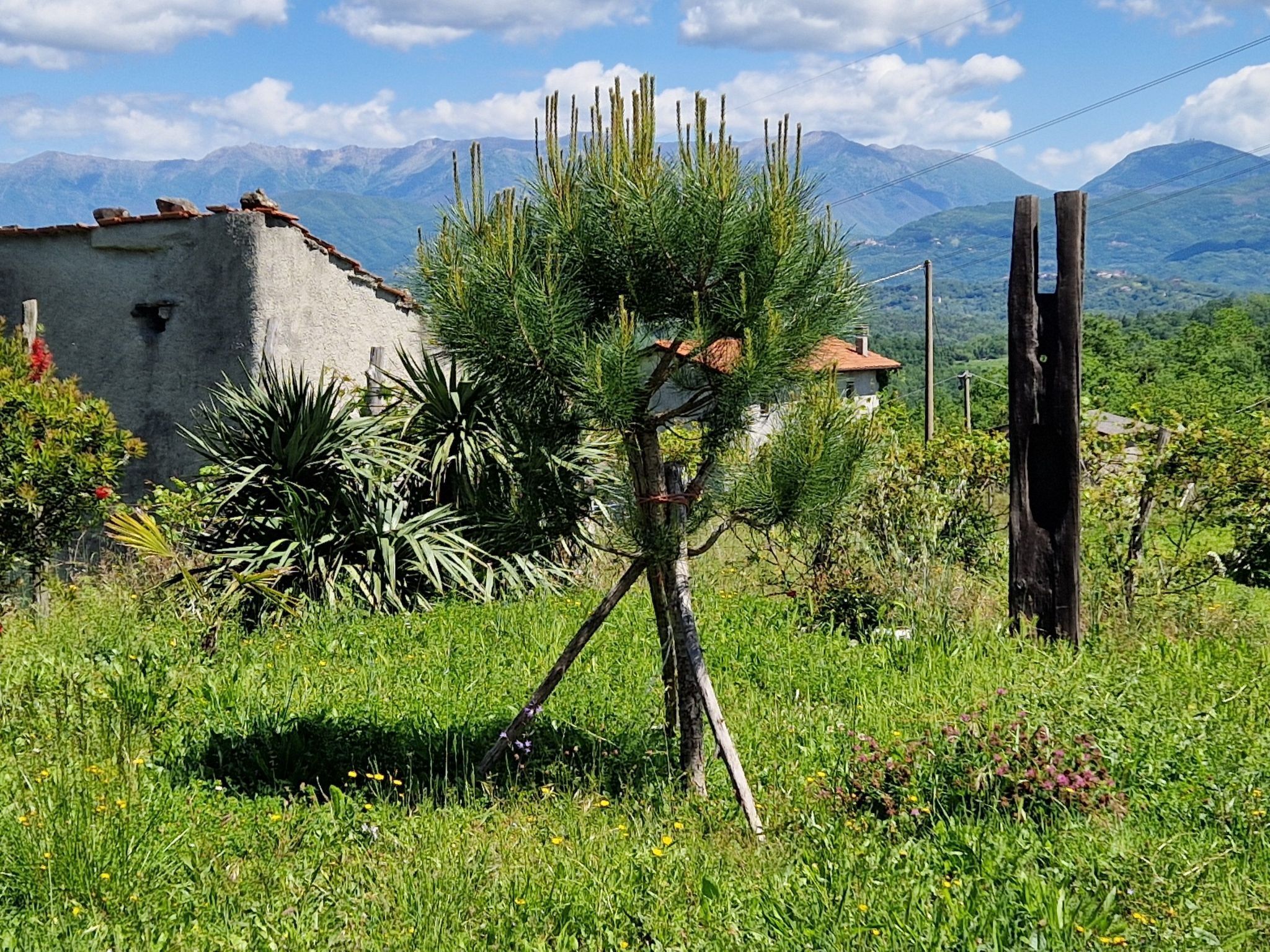 Parco della struttura