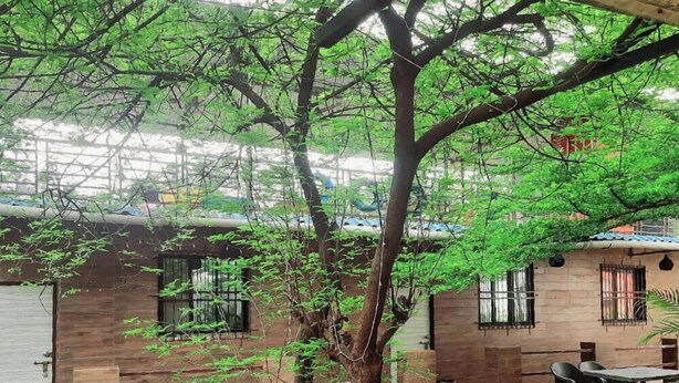 A courtyard with a tree, a table, and a chair. - MARS Resort (Shahapur)