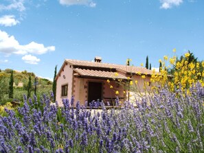 Exterior - Schornsteinfegerhäuschen by Interhome (Cinigiano)